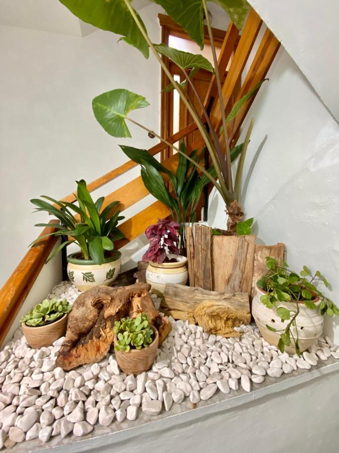 A Michelena De Pedra Appartement Comarca de Comarca de Pontevedra Buitenkant foto